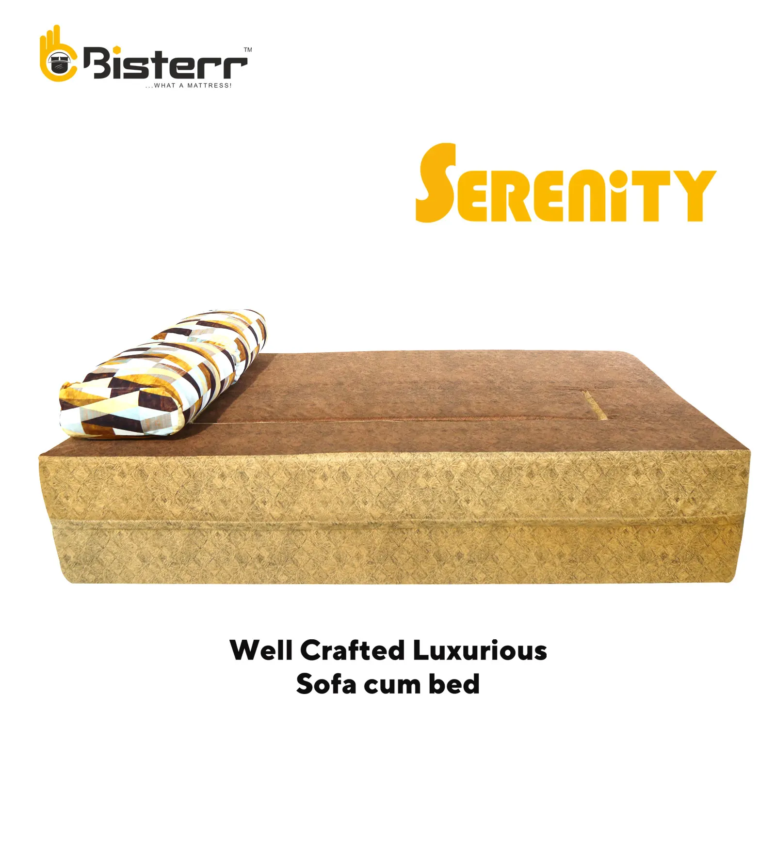 Serenity Duo-Dual Toned Trendsetting Luxurious Sofa Cum Bed In Gandhinagar