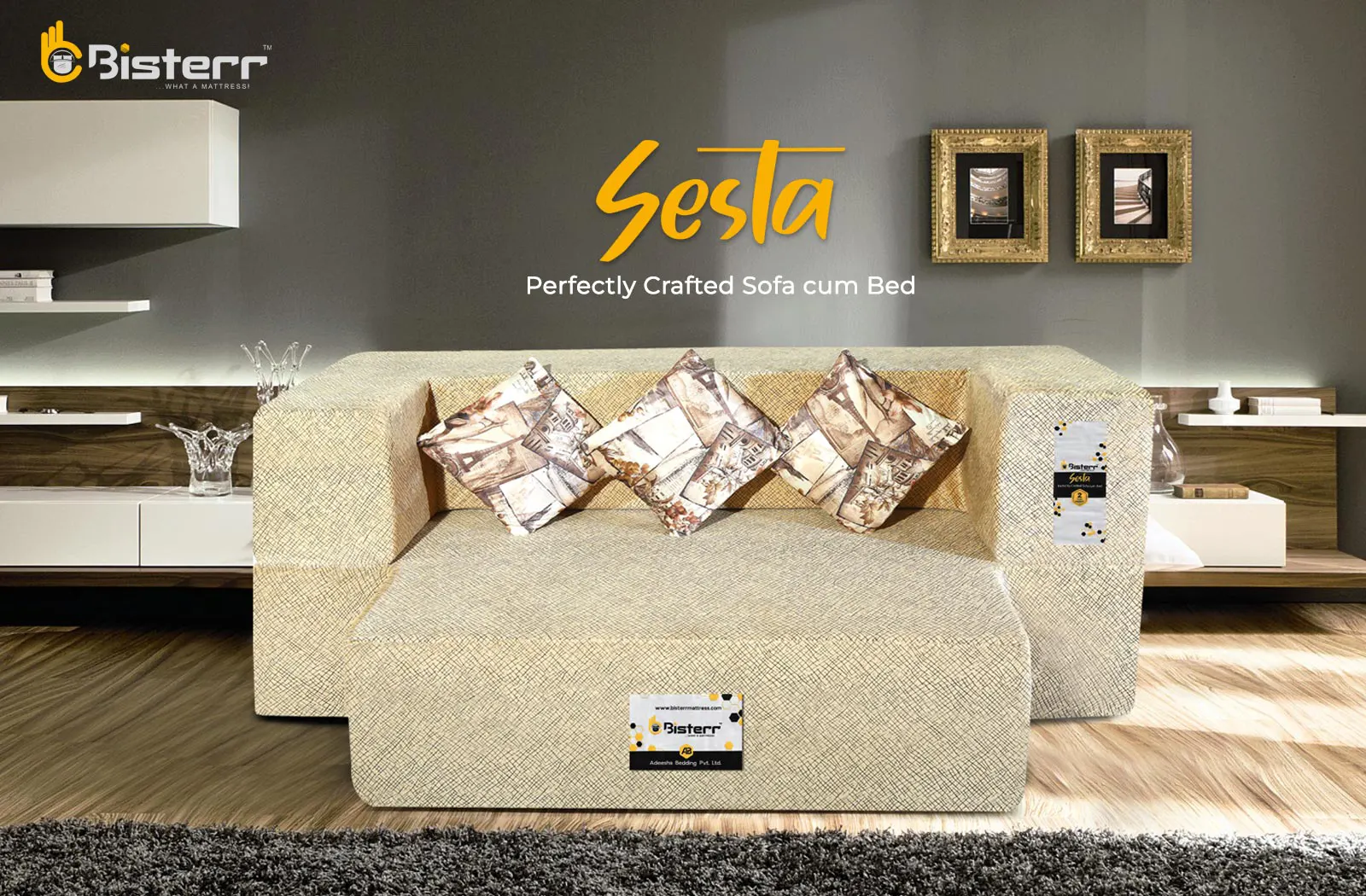 Sesta-Fashionably Crafted Sofa Cum Bed In Gandhinagar