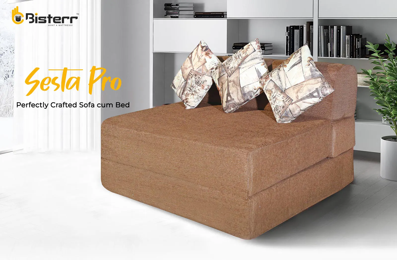 Sesta Pro-Perfectly Crafted Sofa Cum Bed in Gandhinagar