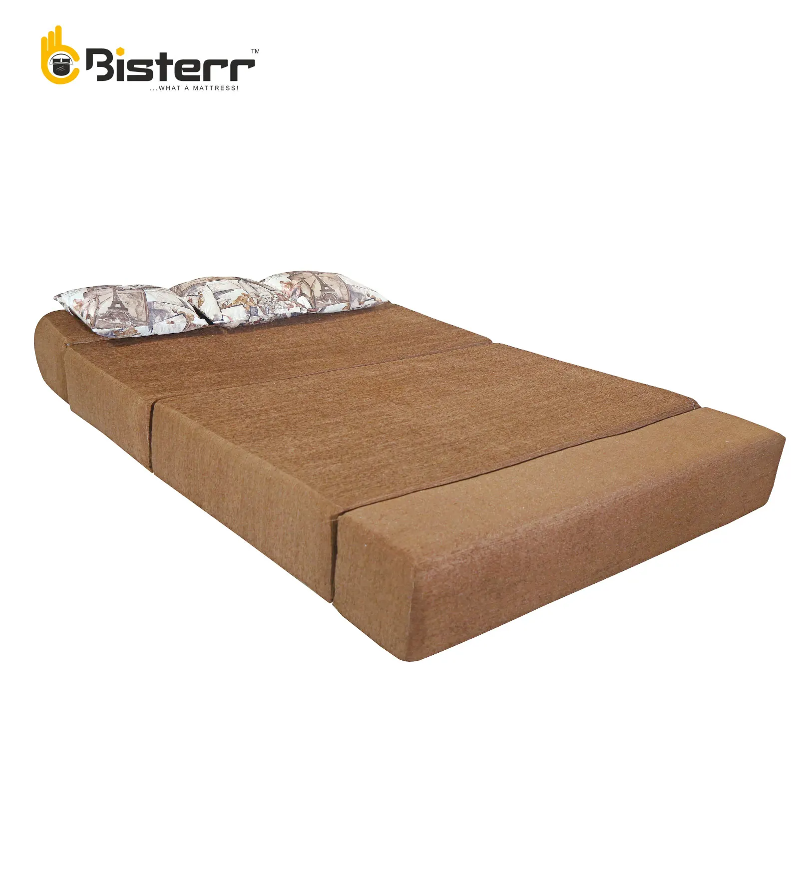 Sesta Pro-Perfectly Crafted Sofa Cum Bed In Gandhinagar