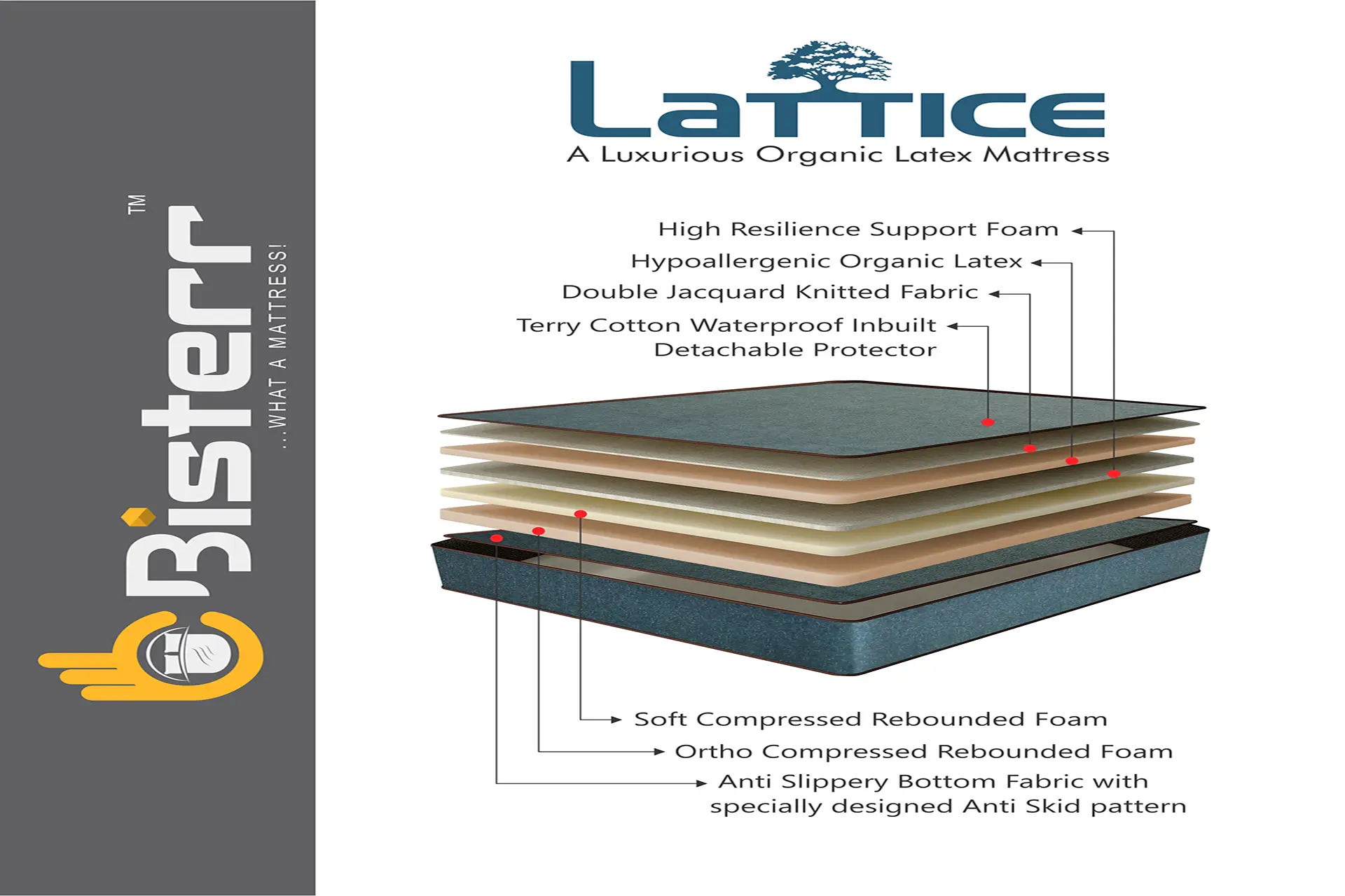 LATTICE An Organic Latex Luxurious Mattress In Gandhinagar